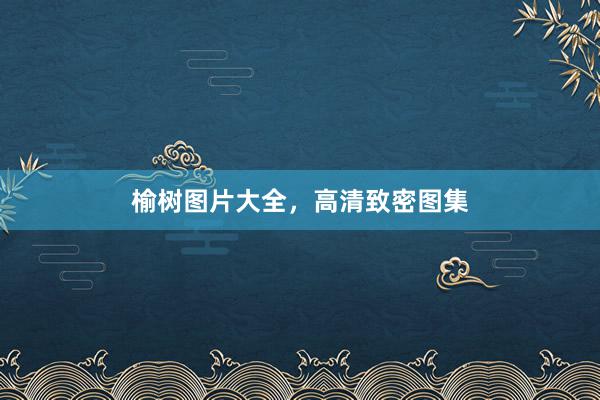榆树图片大全，高清致密图集