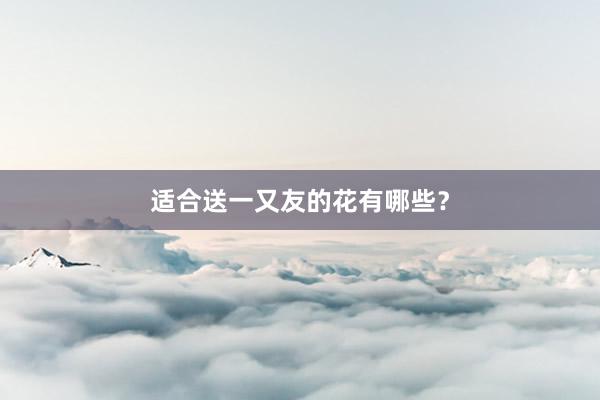适合送一又友的花有哪些?