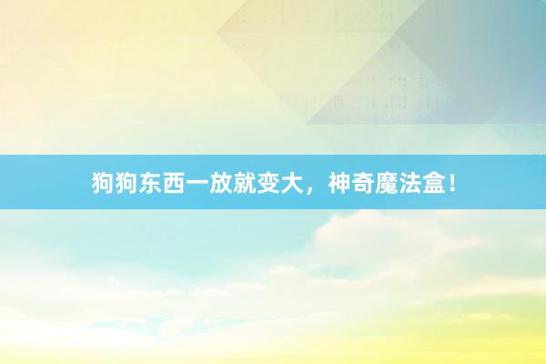 狗狗东西一放就变大,神奇魔法盒!