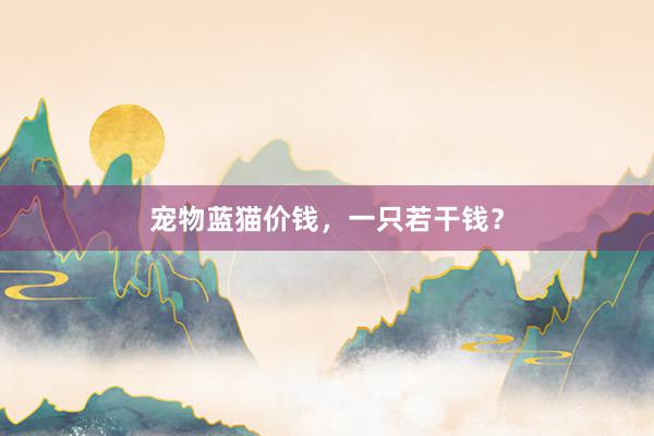 宠物蓝猫价钱，一只若干钱？