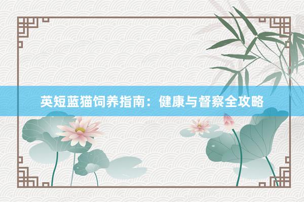 英短蓝猫饲养指南：健康与督察全攻略